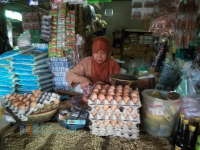Harga Telur Ayam di Pasar Tradisional Terus Menurun