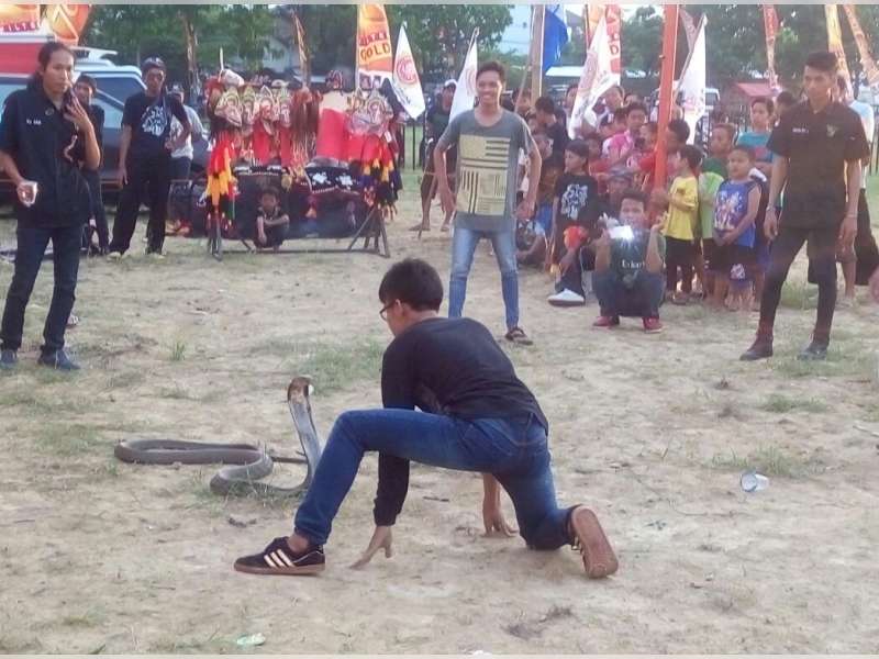 Warga Desa Ngampel Dihibur Pertunjukan Tari Ular