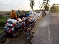 Gabah Hasil Panen Diborong Tengkulak Luar Daerah