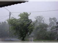 Masyarakat Bojonegoro Diminta Waspadai Hujan Disertai Angin Kencang