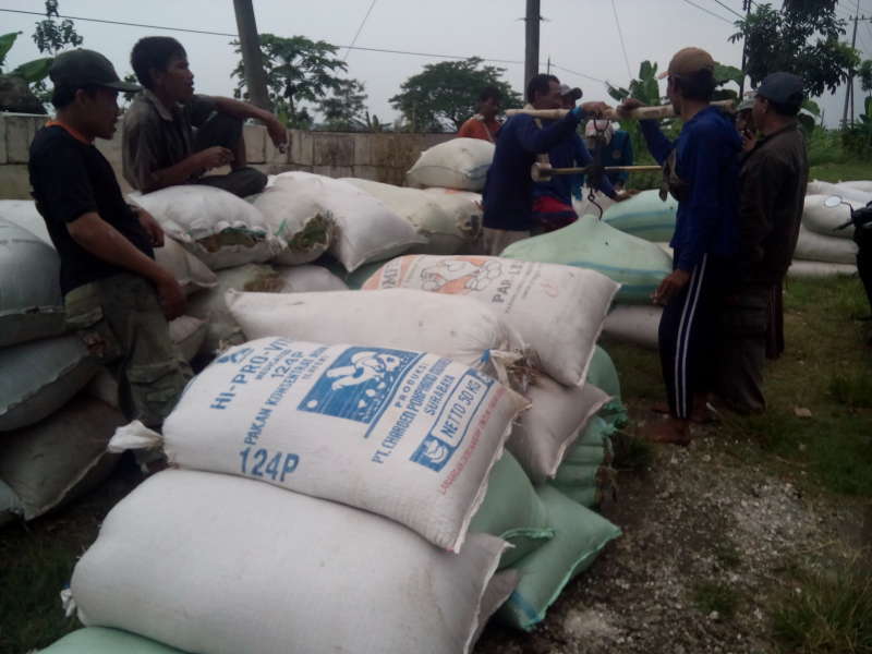 Harga Gabah Hasil Panen Capai Rp3.900 Per Kilogram