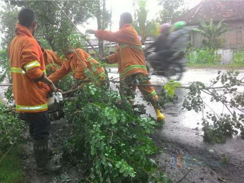 BPBD Minta Warga Waspadai Angin Kencang