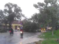 Hujan Lebat Disertai Angin Kencang Terjang Rumah dan Pohon di Gayam