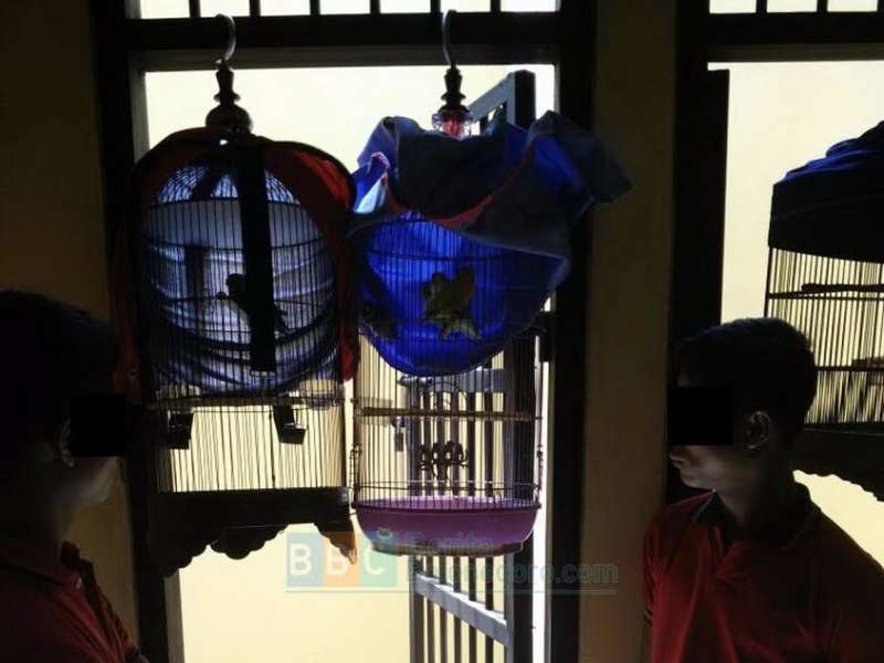 Polsek Baureno Berhasil Tangkap 2 Remaja Pelaku Pencurian Burung