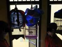 Polsek Baureno Berhasil Tangkap 2 Remaja Pelaku Pencurian Burung