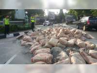 Ratusan Sak Semen Berjatuhan dari Truk di Jalan Raya Tuban