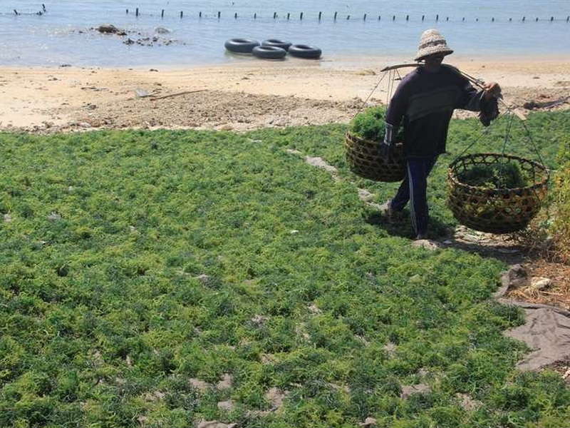 2 Bulan Tak Digaji, 30 Pekerja PT Prisma Memilih Pulang ke Bojonegoro