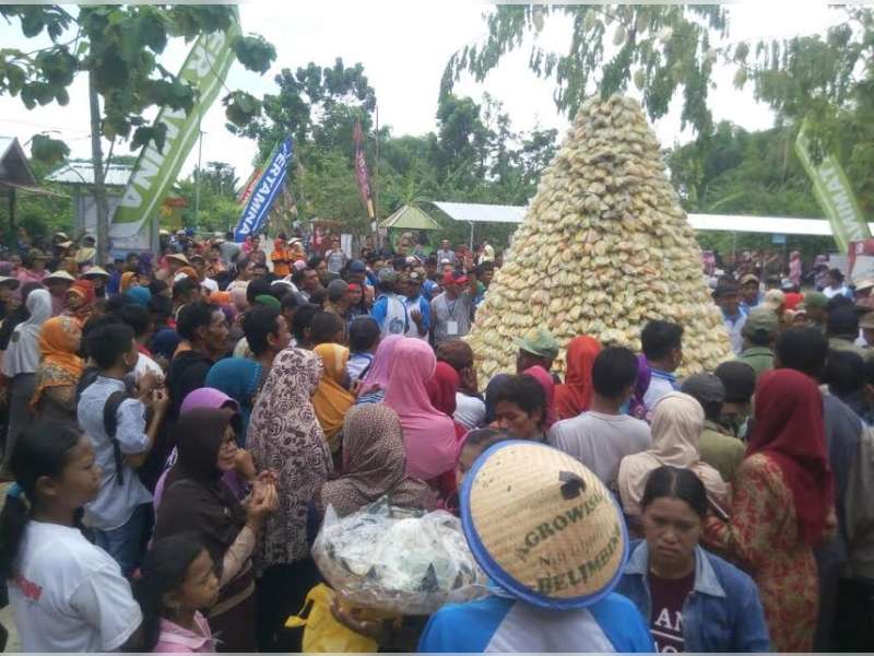 Ramainya Festival Belimbing 2016 di Kalitidu