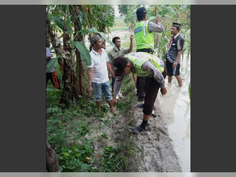 Pulang dari Sawah, Petani di Tambakrejo Meninggal Tersengat Listrik