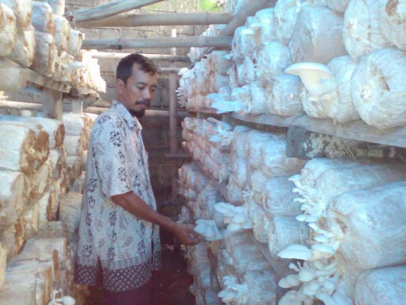 Kewalahan Layani Permintaan Konsumen