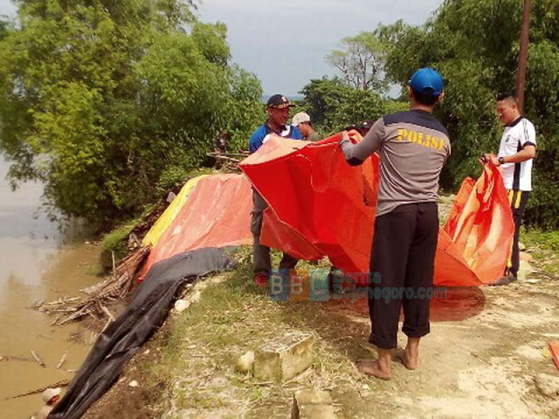 Kerja Bakti Perkuat Tanggul Bengawan Solo di Desa Kanor