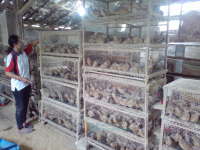 Modal Rp 32 Juta, Enam Bulan Kembali