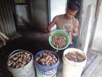 Sehari Bisa Jual 60 Kilogram