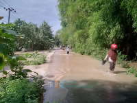 Tiga Hari Terendam, Pertanian di Baureno Rugi Rp 4 Miliar Lebih