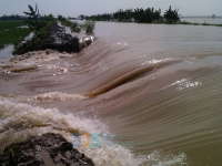 Tanggul Desa Pucangarum Jebol