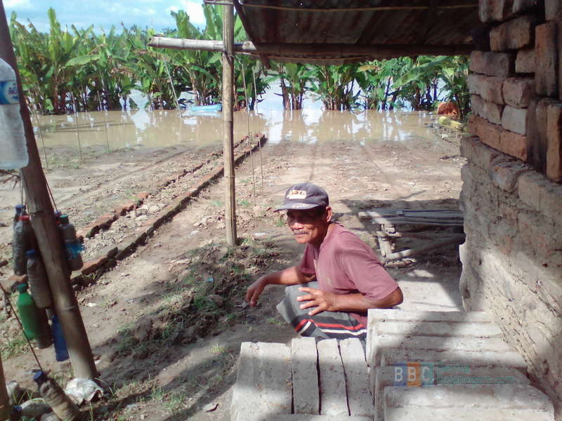 Akibat Banjir, Produksi Bata Merah di Padangan Berhenti Total