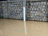 Update Banjir Bengawan Solo, Bojonegoro Kota Masih Siaga Merah