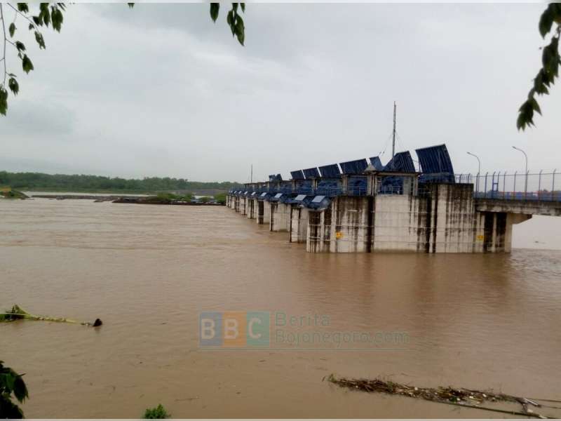 Update Banjir Bengawan Solo, Ribuan Rumah Tergenang dan Ratusan Warga Mengungsi