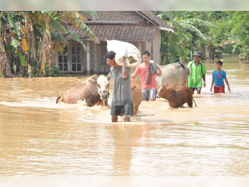 Dinas Peternakan Imbau Warga Periksakan Kondisi Hewan Ternak