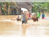 Dinas Peternakan Imbau Warga Periksakan Kondisi Hewan Ternak