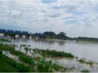 Update Banjir Bengawan Solo, Bojonegoro Kota Masih Siaga Merah