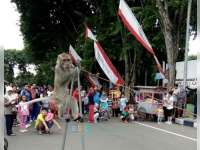 Ada Topeng Monyet  di CFD