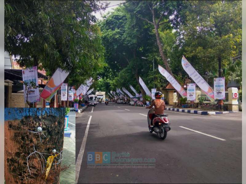 Spanduk Dipaku pada Pohon, Ini Respon Kepala BLH Bojonegoro