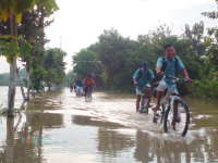 Nikmati Kolam Renang Gratis Sepuasnya