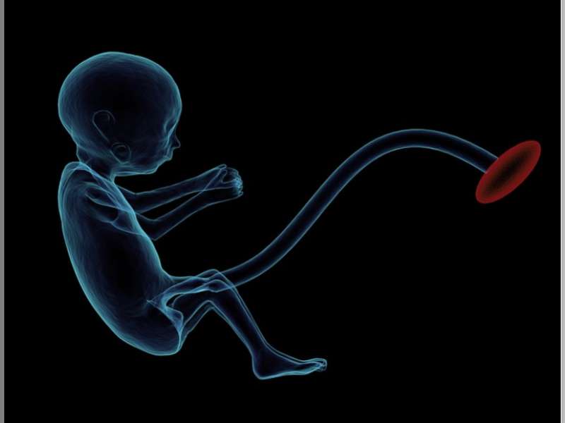 Program Sagasih Diharapkan Mampu Kurangi Angka Kematian Ibu dan Bayi