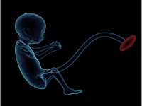 Program Sagasih Diharapkan Mampu Kurangi Angka Kematian Ibu dan Bayi