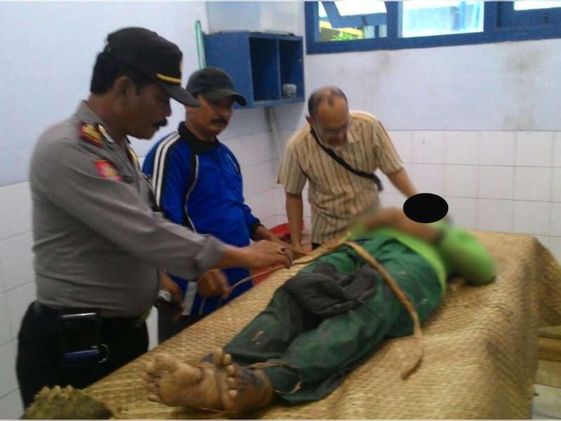 Seorang Pencari Jerami Tewas di Persawahan Sukowati Kapas