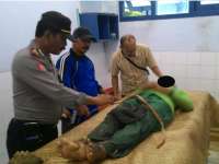 Seorang Pencari Jerami Tewas di Persawahan Sukowati Kapas