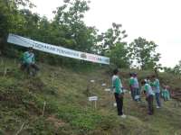 Aston dan Fave Hotel Gelar Gerakan Menanam 1000 Pohon di Waduk Pacal