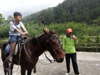 Serunya Menunggang Kuda di Grojogan Sewu