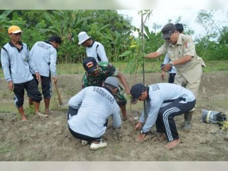 IDFoS Dampingi BUMdes Penanaman Klengkeng Di Belun