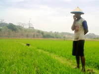 Mengelola Virus Khayalan Thoyyiban Migas di Bojonegoro