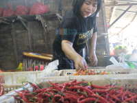 Tahun Baru, Harga Cabai Rawit Naik Lagi