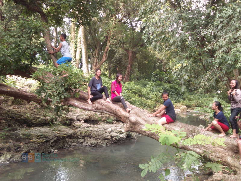 Menikmati Kesejukan Panorama Sendang Grogolan