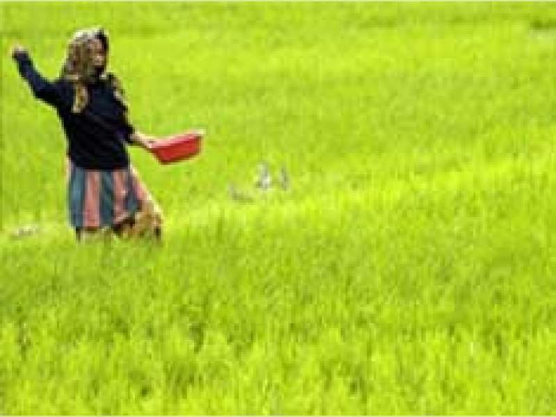 Disperta Pastikan Pupuk Petani Aman Hingga Akhir Tahun