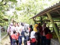 Liburan, Agrowisata Kebun Belimbing Ramai Pengunjung