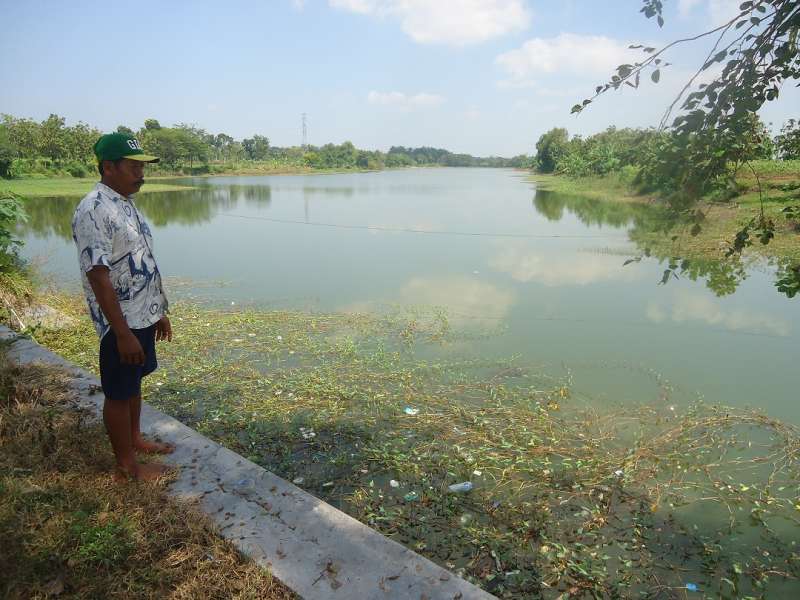 Embung Tidak Maksimal Menampung Air saat Musim Hujan
