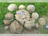 Banyak Temuan Fosil Binatang Laut, Selatan Bojonegoro Dulu Lautan