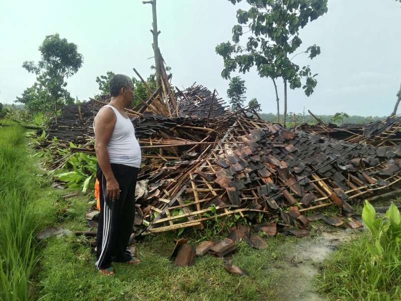 Angin Kencang Robohkan Rumah Produksi Jamur Tiram di Kanor