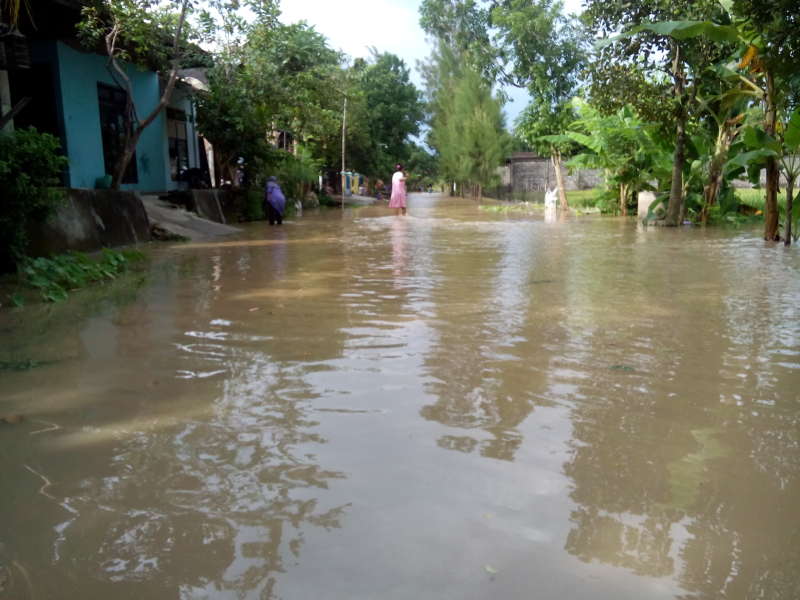 Wilayah Bojonegoro Diprediksi Bakal Terjadi Banjir Lagi