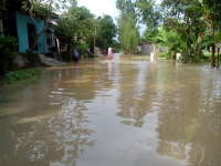 Wilayah Bojonegoro Diprediksi Bakal Terjadi Banjir Lagi