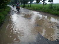 Jalan Penghubung Kecamatan Purwosari-Tambakrejo Rusak Berat