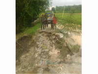 Tergerus Air Hujan, Jalan Desa Kaliombo Longsor Sepanjang 20 Meter