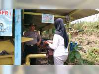 Besok Bojonegoro Kedatangan 103 Sapi Brahman Cross dari Australia