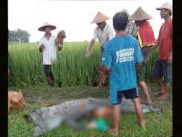 Sambaran Petir Kembali Bawa Korban Tewas di Sugihwaras