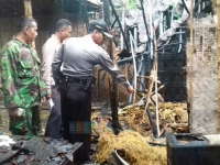 Kandang Sapi Hangus Terbakar, Pemilik Rugi 5 Juta